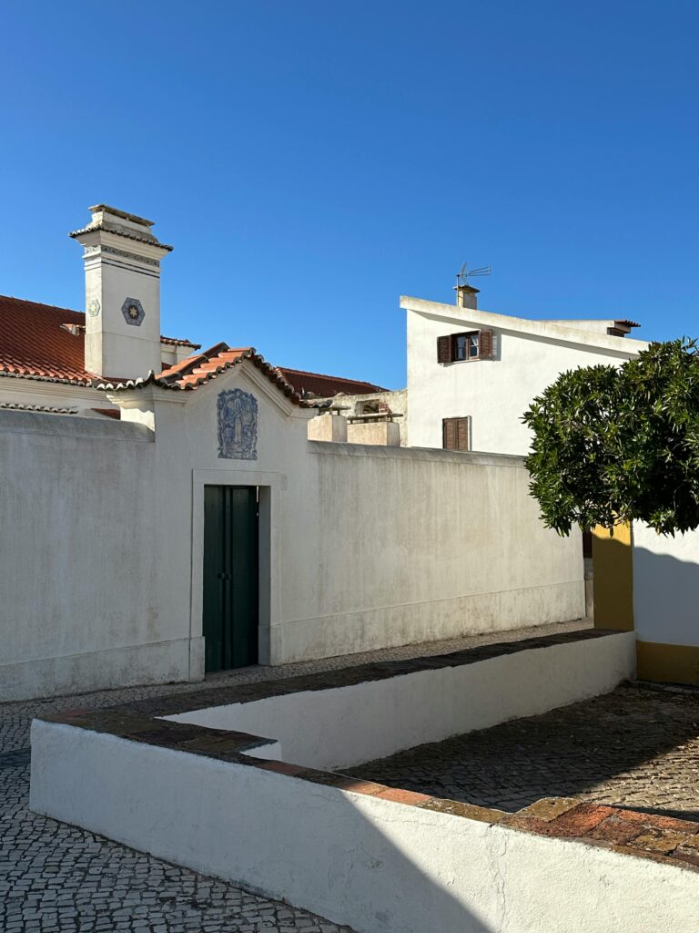 The Villages New Businesses and Local Opening Highlights